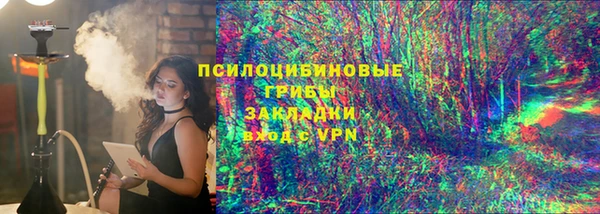 ГАЛЛЮЦИНОГЕННЫЕ ГРИБЫ Алексеевка