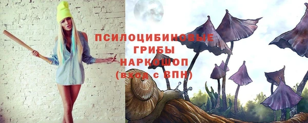бутират Алексин
