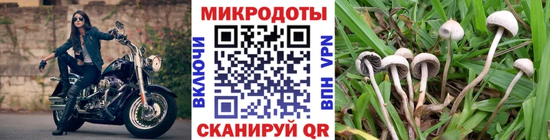 Псилоцибиновые грибы прущие грибы  Людиново 
