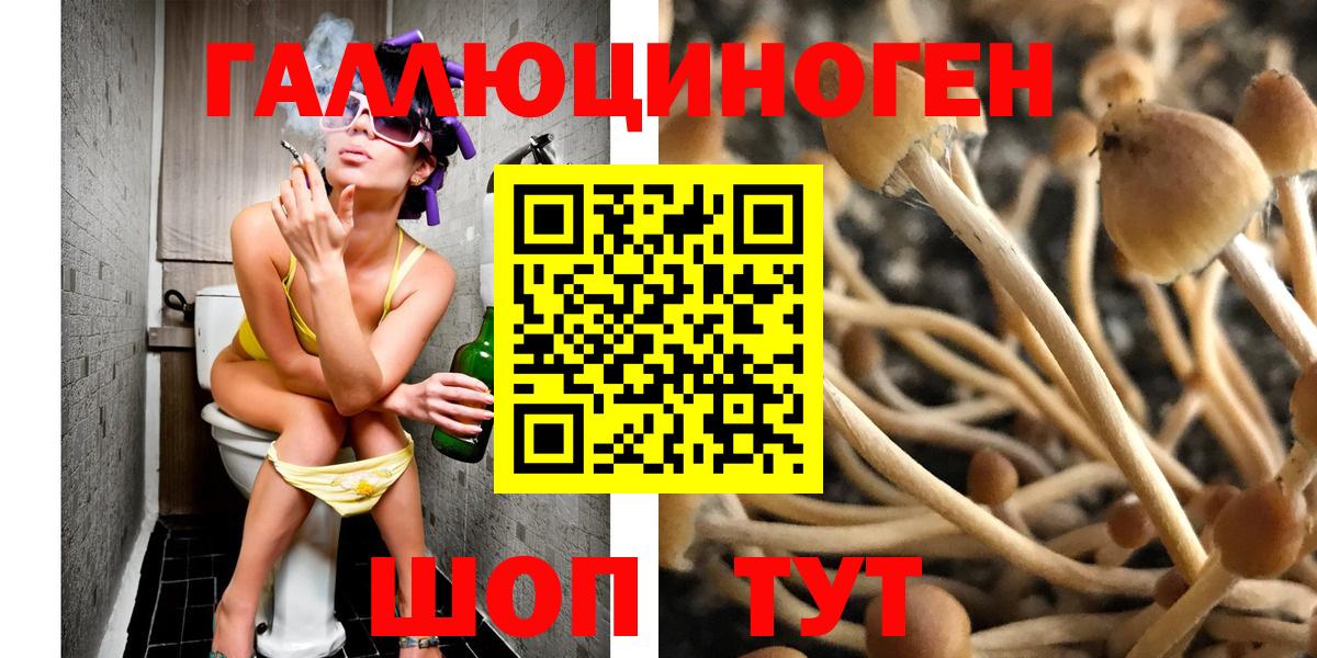 Людиново  Галлюциногенные грибы Cubensis  Вход с VPN 