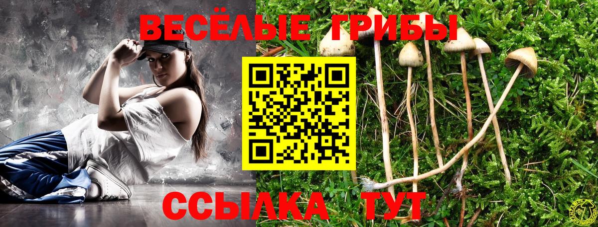 Псилоцибиновые грибы Psilocybine cubensis Людиново