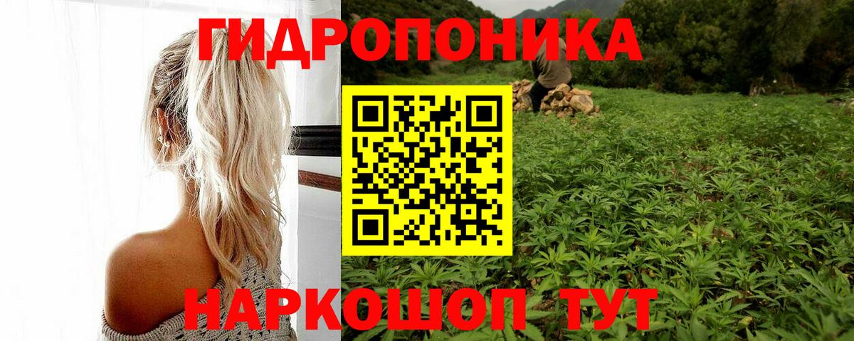 Конопля White Widow Людиново